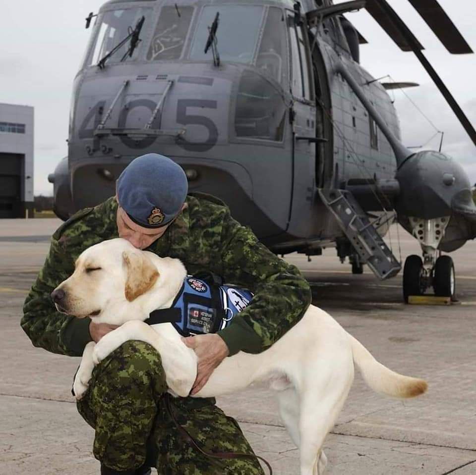 A Canadian Armed Forces member in uniform hugs a yellow Labrador service dog in front of a Sea King helicopter